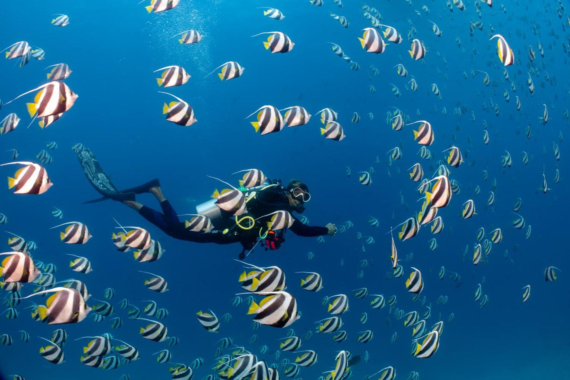 Bandos Maldives - One Way Transfer Free For Stays From 1St May Till 30Th Sept 2025 Bandos Island Dış mekan fotoğraf